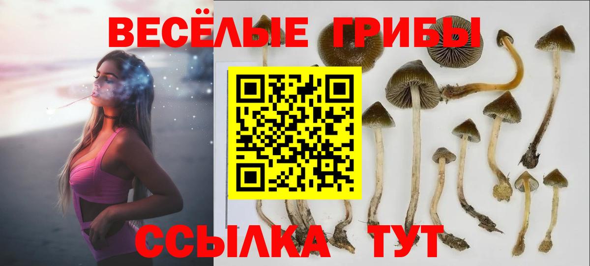 Галлюциногенные грибы ЛСД Асбест